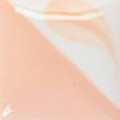 CN222 Bright Blush